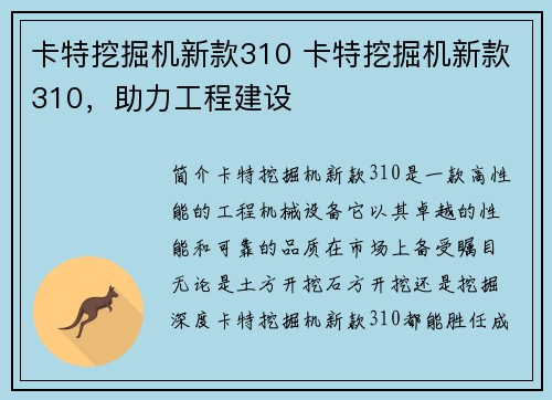 卡特挖掘机新款310 卡特挖掘机新款310，助力工程建设